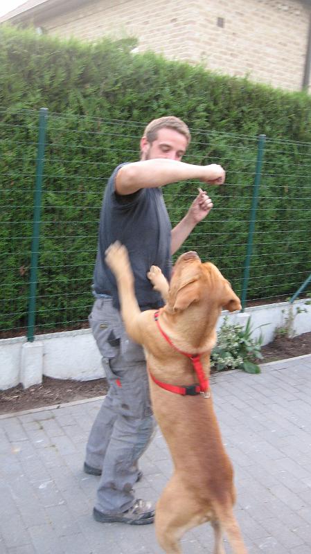 IMG_2630.JPG